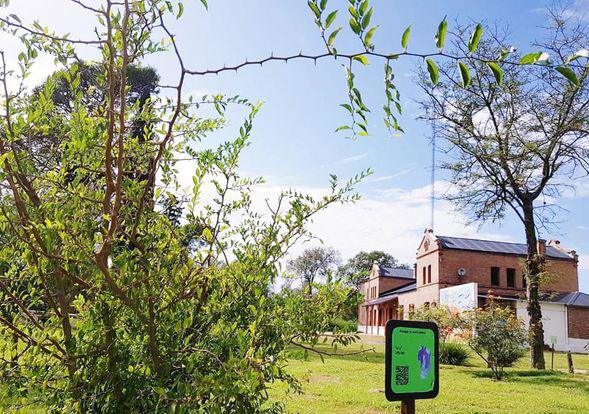 162250746_4199153586775827_3087026201188085886_n