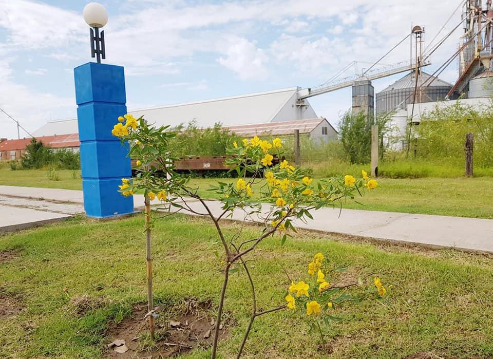 162337849_4199154146775771_6362623631254887010_n