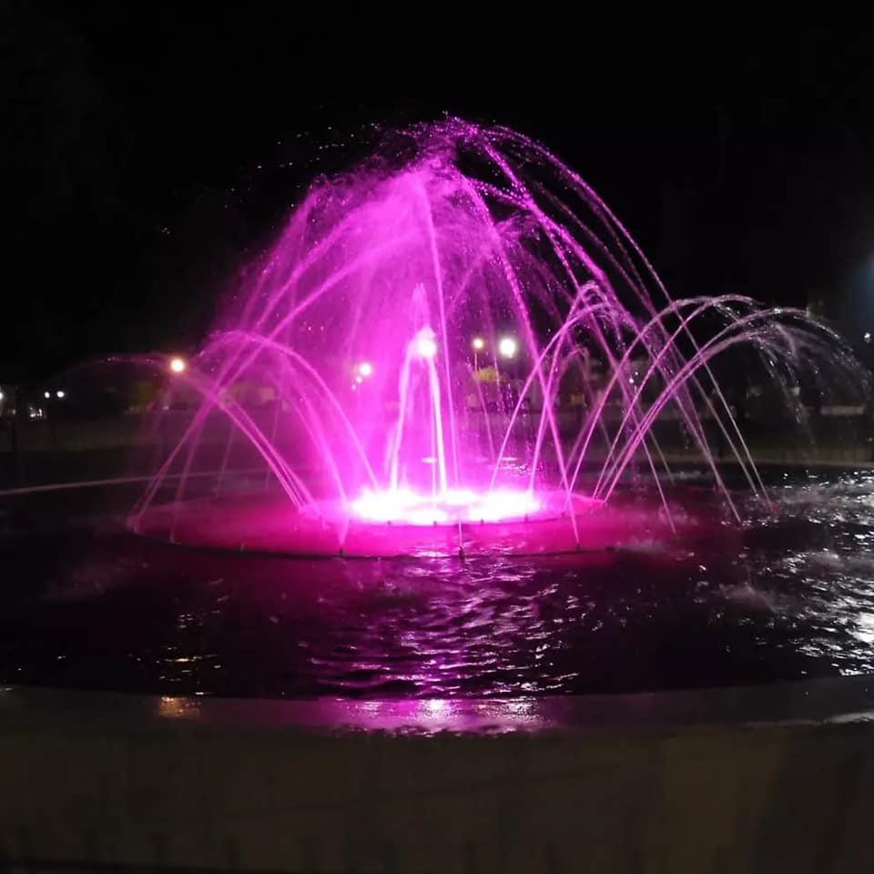 310488946_473168454839058_1121374574592654188_n