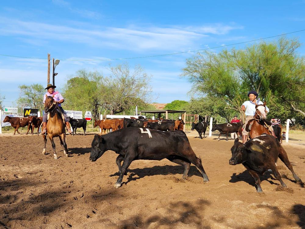 335041091_610294060915317_375133582918519054_n