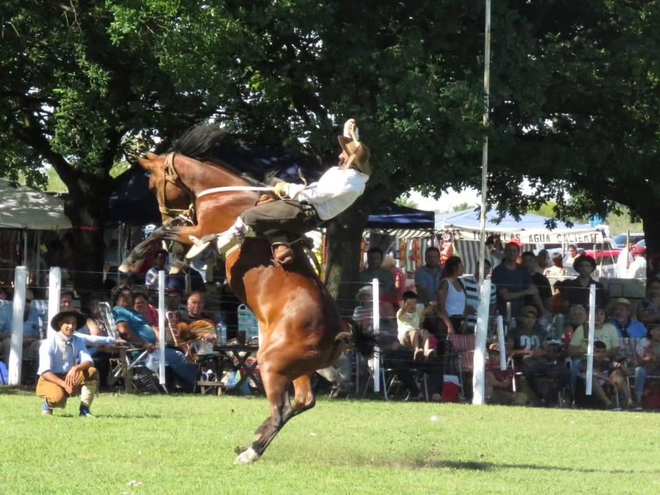 401763622_732543368901564_1975083197445852240_n