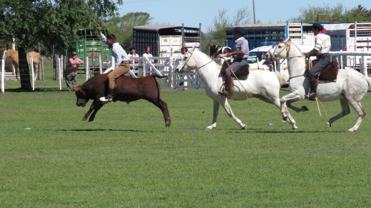 401198887_732543692234865_5359920107742362389_n