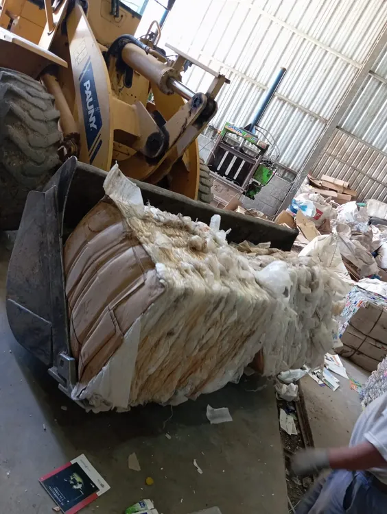 WhatsApp Image 2024-11-13 at 14.56.16 (1)