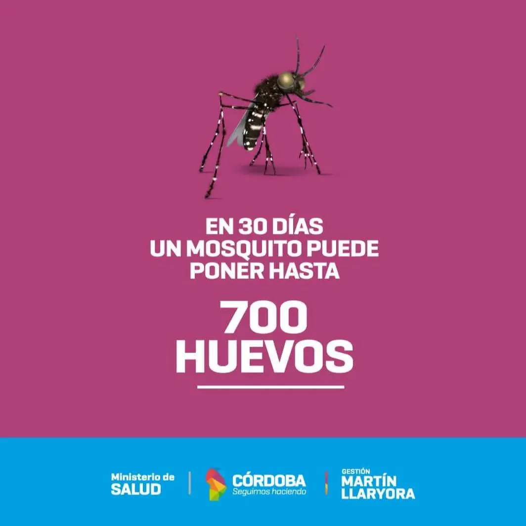 460852058_936467471842485_5425504842326557707_n