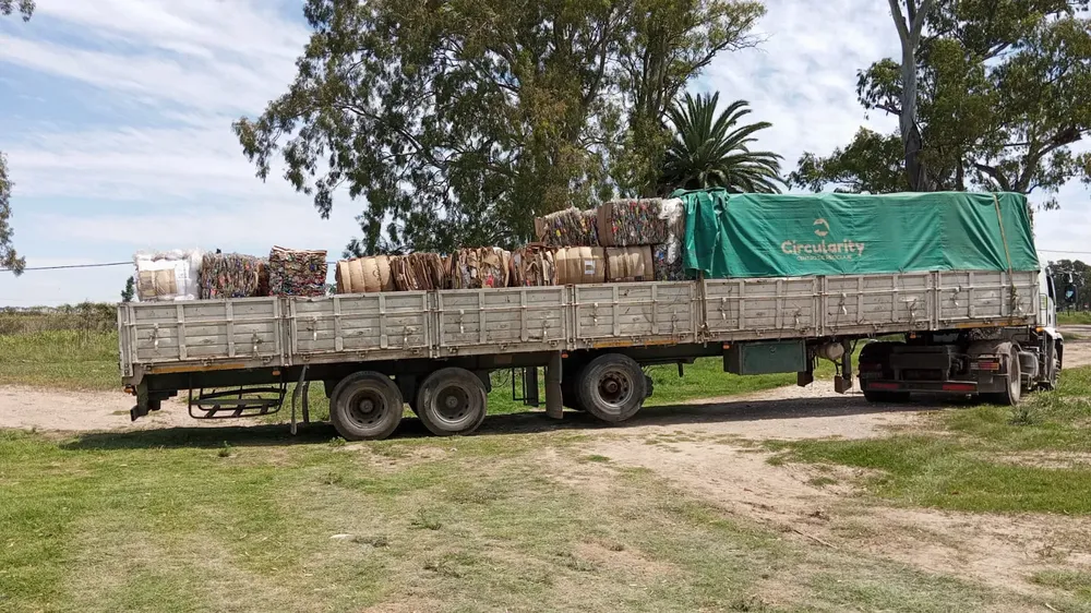 WhatsApp Image 2024-11-13 at 14.56.15