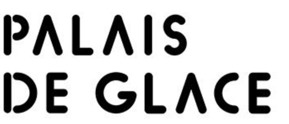 logo palais de glace
